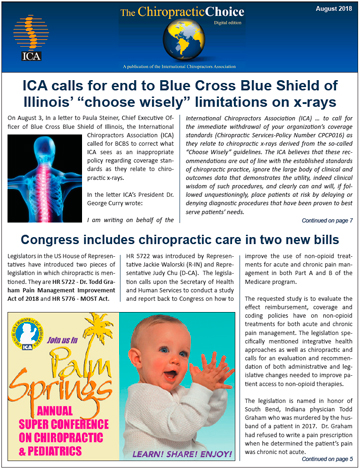 The ICA Choice magazine Cover Image